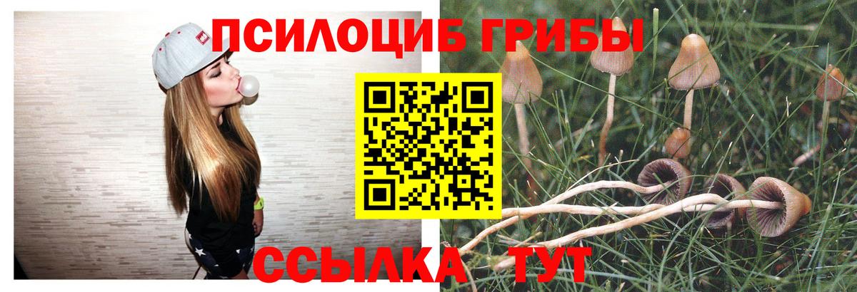 Галлюциногенные грибы GOLDEN TEACHER  Вход с VPN  Татарск 